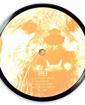Vinyl Record Label Coaster | Attack Otter