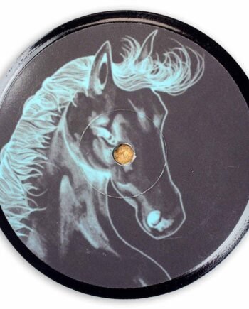 Vinyl Record Label Coaster | Ghost Horse