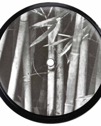 Vinyl Record Label Coaster | Bamboo You