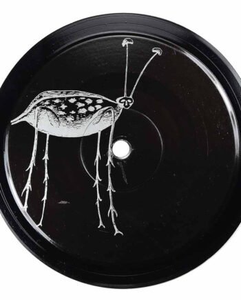 Vinyl Record Label Coaster | Bugged