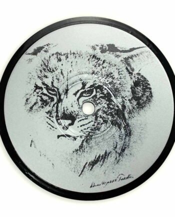 Vinyl Record Label Coaster | Contemplative Kitty