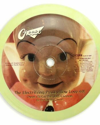 Vinyl Record Label Coaster | Pussywillow Love